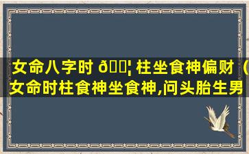 女命八字时 🐦 柱坐食神偏财（女命时柱食神坐食神,问头胎生男生女）